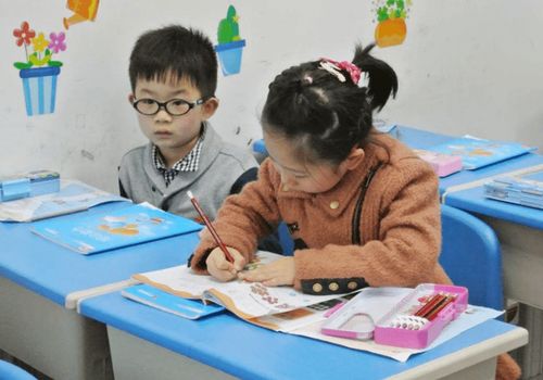 教育部回应“15年义务教育”传闻 家长普遍支持，教育咨询需求上升