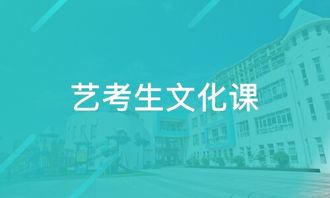 天津桃源教育咨询与淘学培训 教育服务质量深度解析