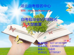 武汉大楚教育学堂 专业咨询服务赋能教育未来
